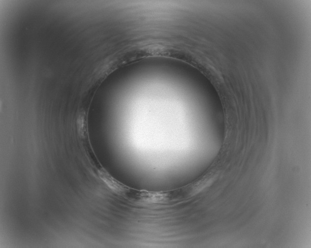 X0000073870288200608312100