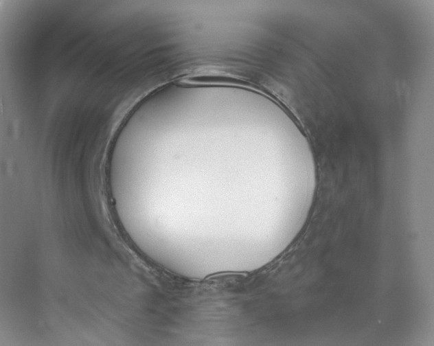 X0000073870289200608312100