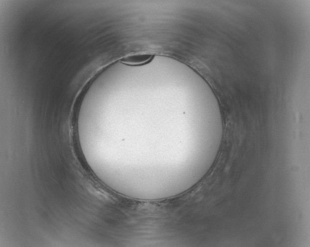 X0000073870290200608312100