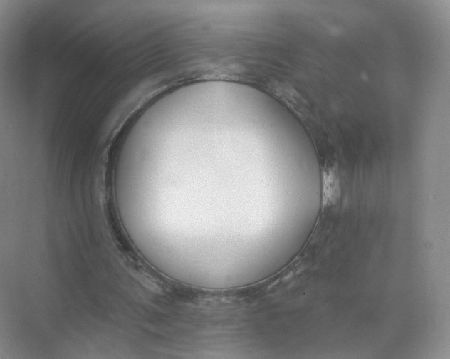 X0000073870291200608312100