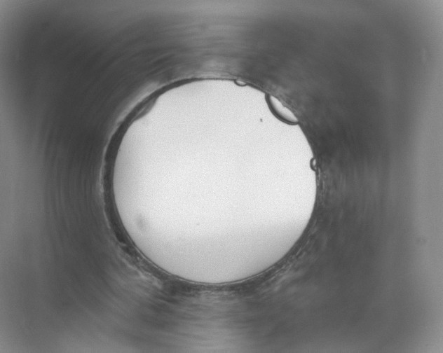 X0000073870292200608312100