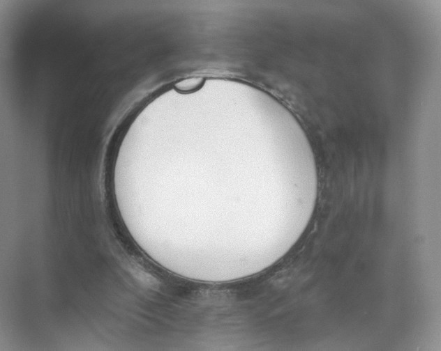 X0000073870296200608312059