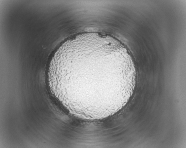 X0000073870297200608312059