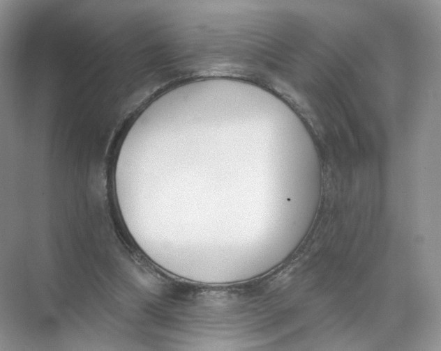 X0000073870298200608312059