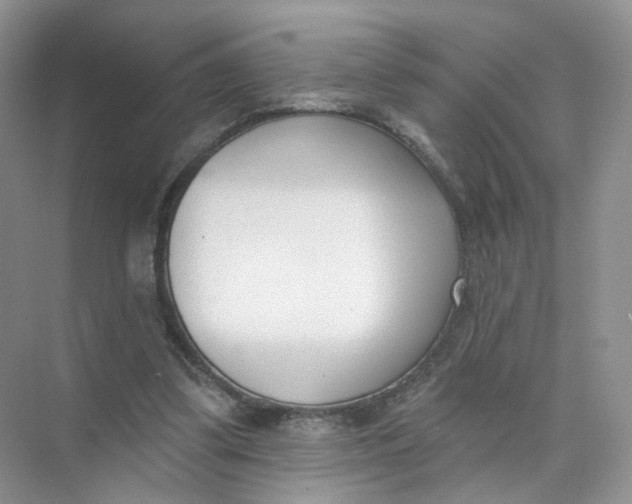 X0000073870299200608312059