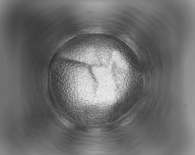 X0000073870301200608312059