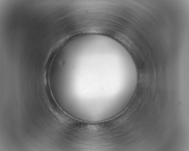 X0000073870302200608312059