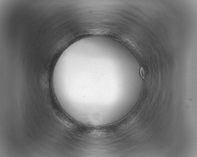 X0000073870303200608312059