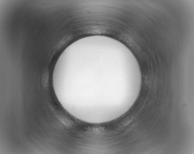 X0000073870304200608312059