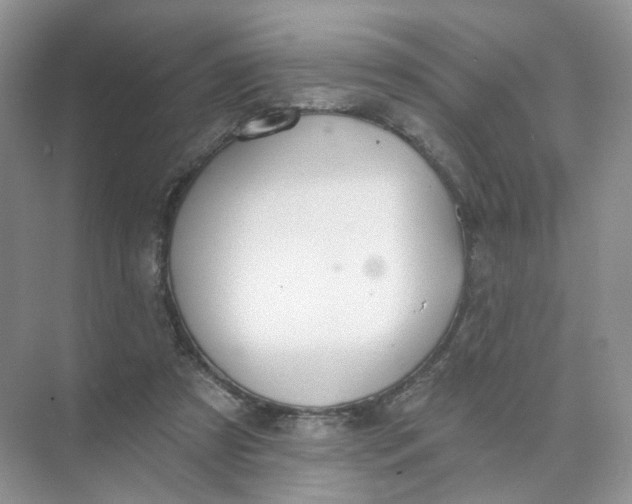 X0000073870305200608312059