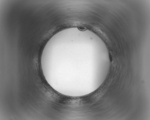 X0000073870306200608312059