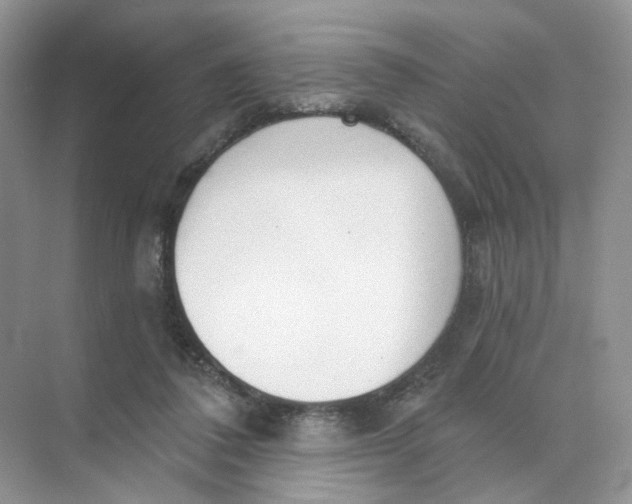 X0000073870308200608312059