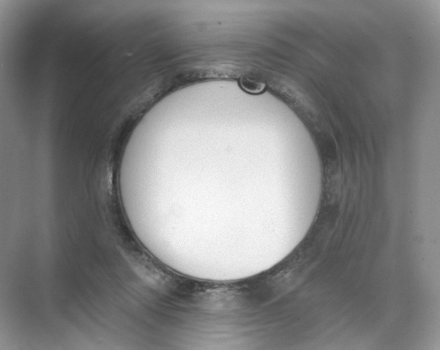 X0000073870310200608312059