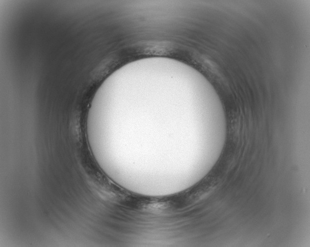 X0000073870312200608312059