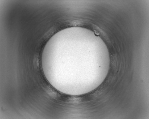 X0000073870313200608312059