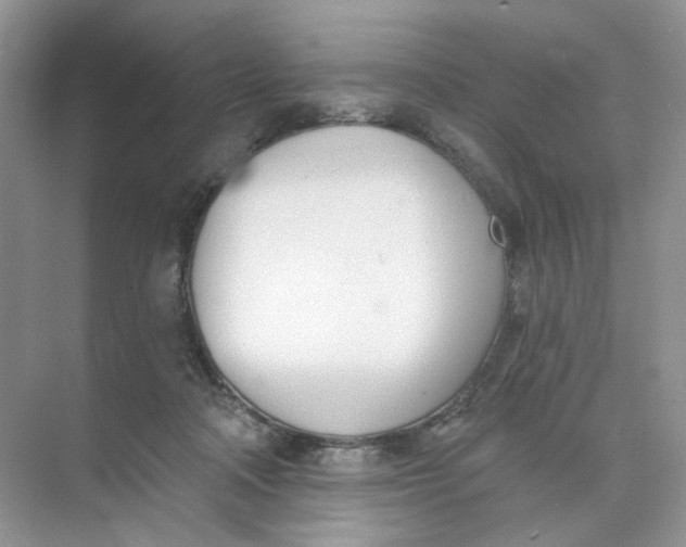 X0000073870314200608312059