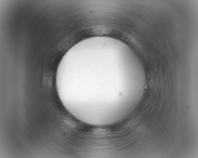 X0000073870315200608312059