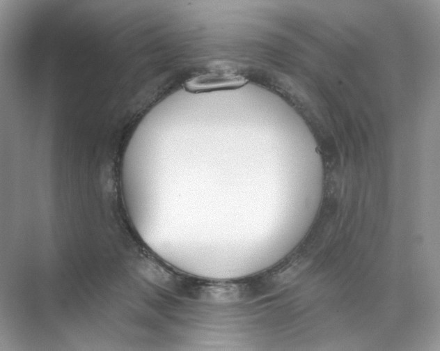 X0000073870317200608312059