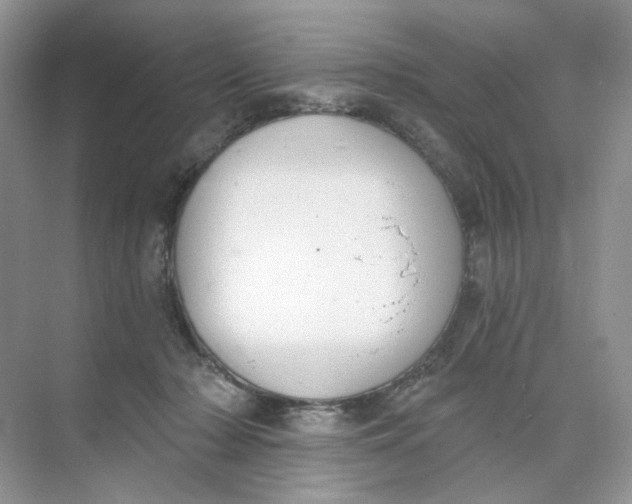 X0000073870318200608312059