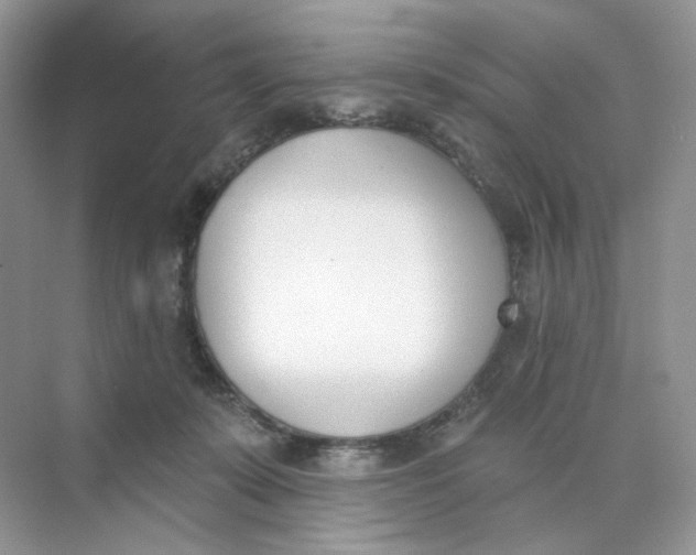 X0000073870319200608312059