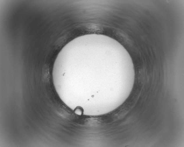 X0000073870320200608312059