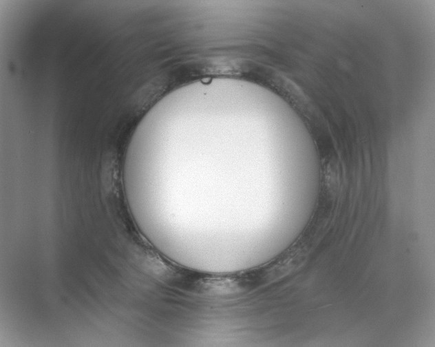 X0000073870322200608312059