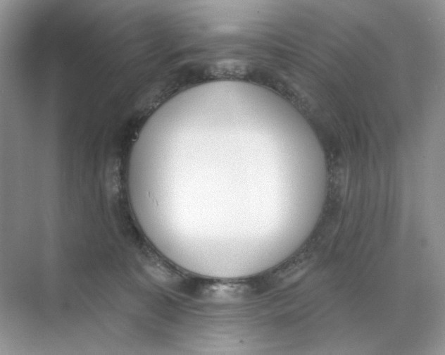 X0000073870323200608312059