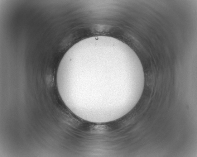 X0000073870324200608312059