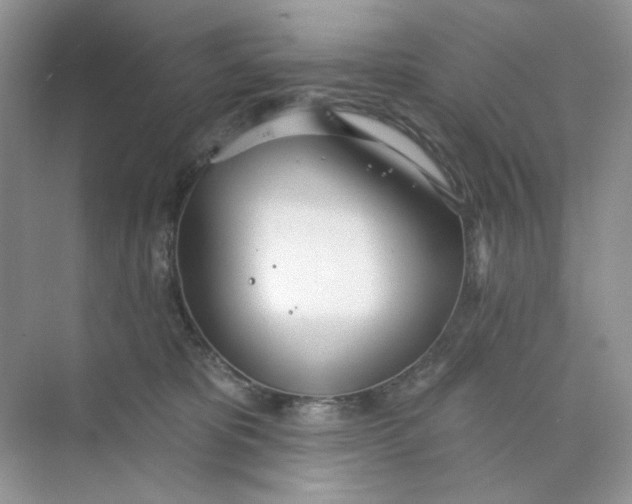 X0000073870325200608312059