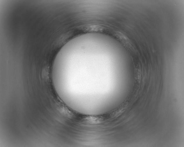 X0000073870326200608312059