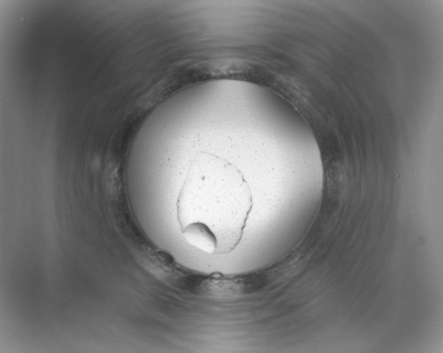 X0000073870327200608312059