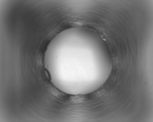 X0000073870331200608312059