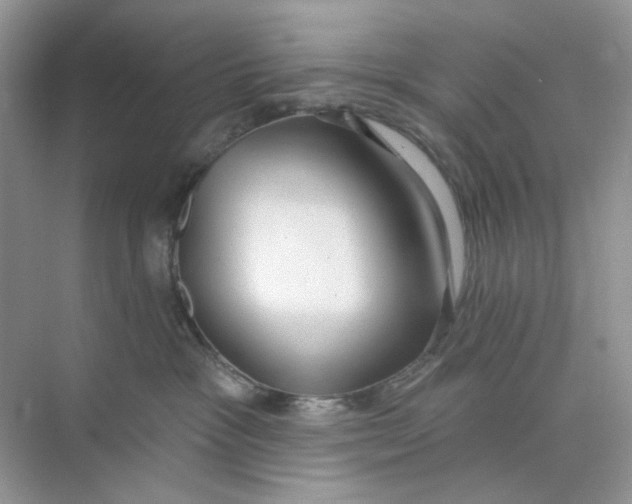 X0000073870333200608312059