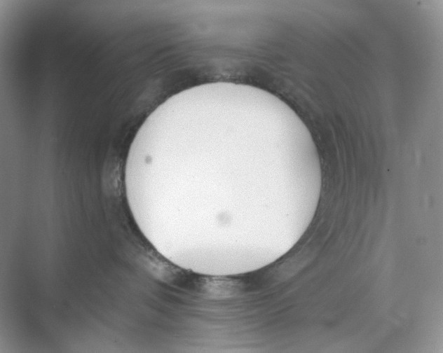 X0000073870336200608312059