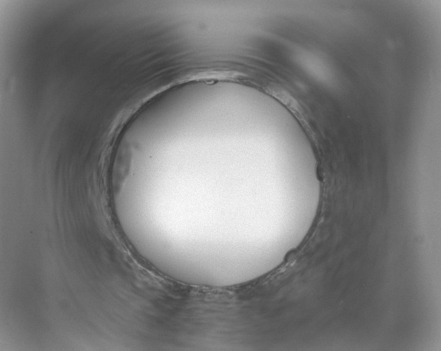 X0000073870337200608312058