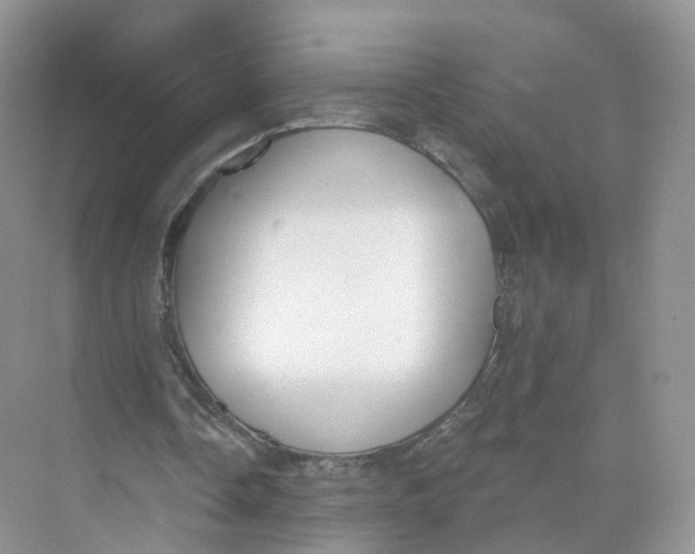 X0000073870338200608312058