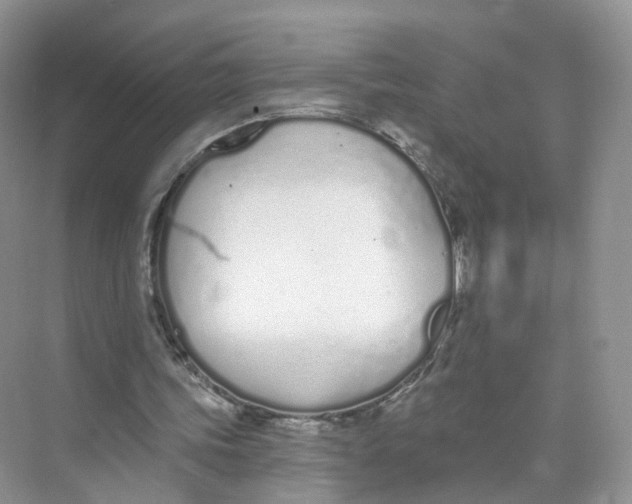 X0000073870339200608312058