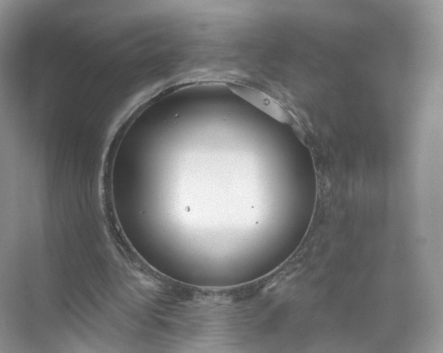 X0000073870340200608312058