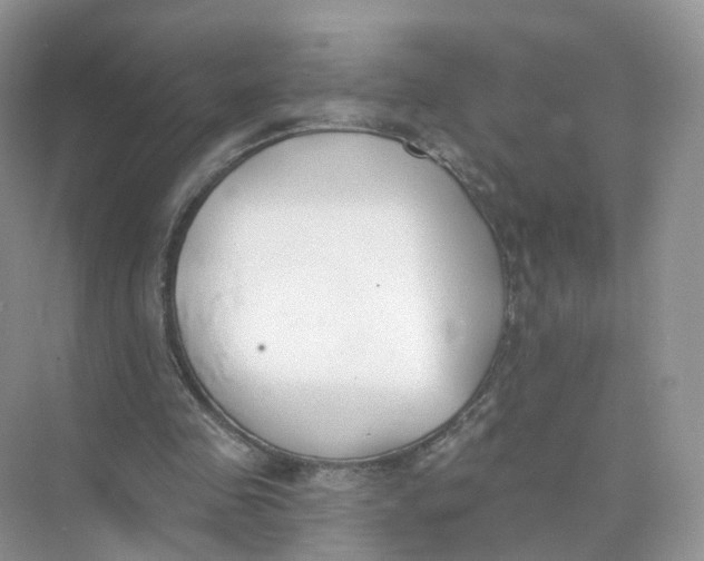 X0000073870341200608312058