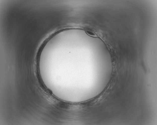 X0000073870342200608312058