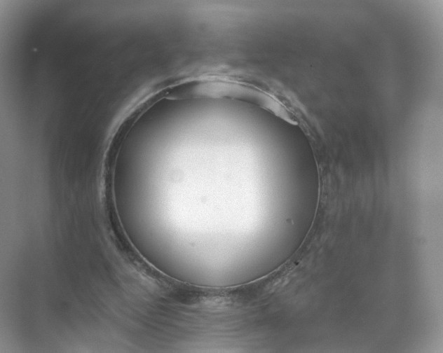 X0000073870344200608312058