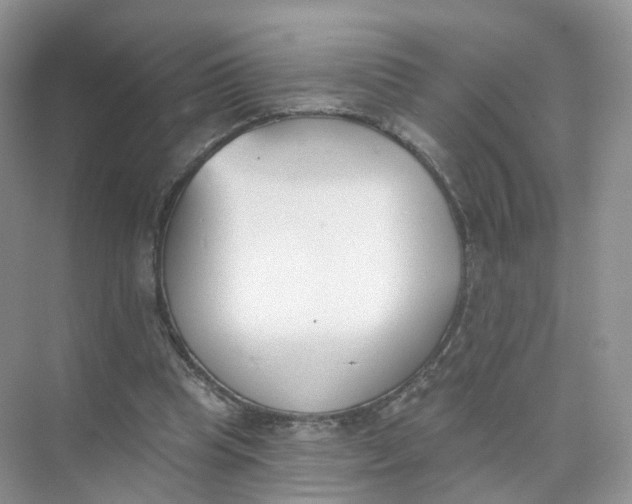 X0000073870345200608312058