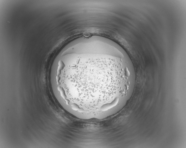 X0000073870347200608312058