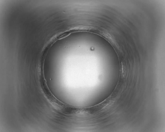 X0000073870348200608312058