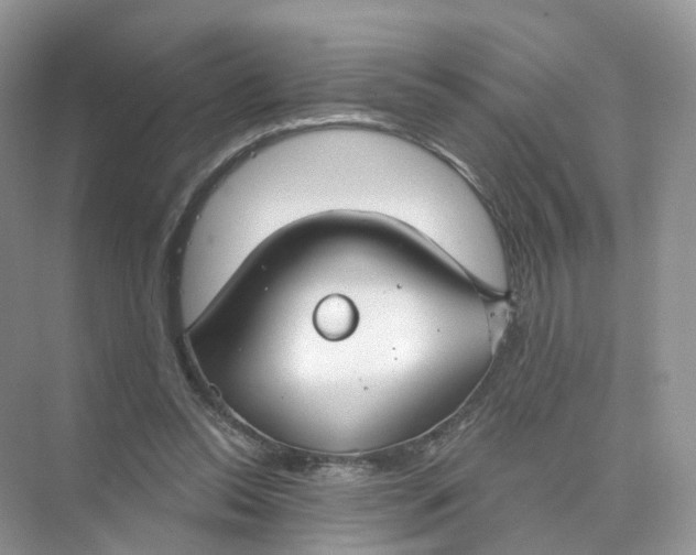 X0000073870350200608312058