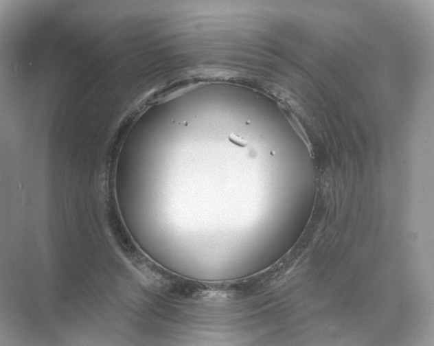 X0000073870352200608312058