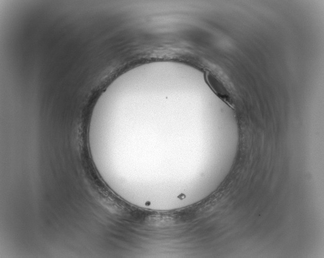 X0000073870354200608312058