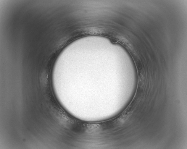 X0000073870355200608312058