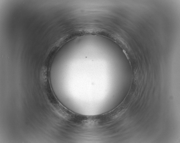 X0000073870356200608312058