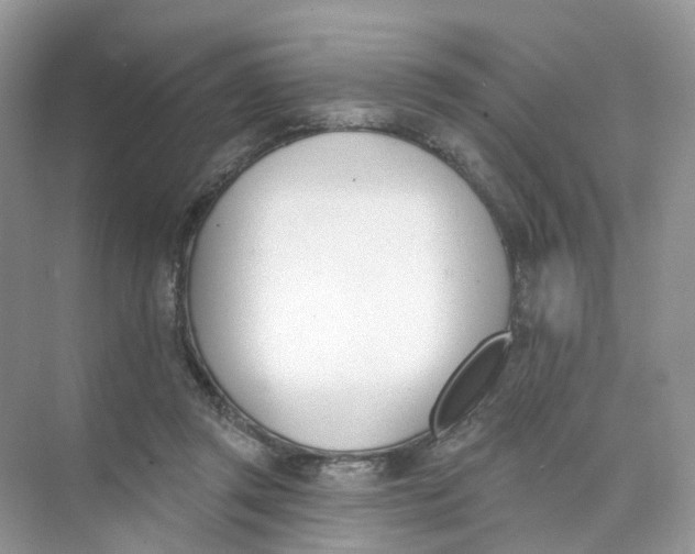 X0000073870357200608312058